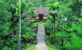 Day Stay
