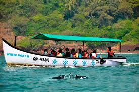 DOLPHIN RIDE