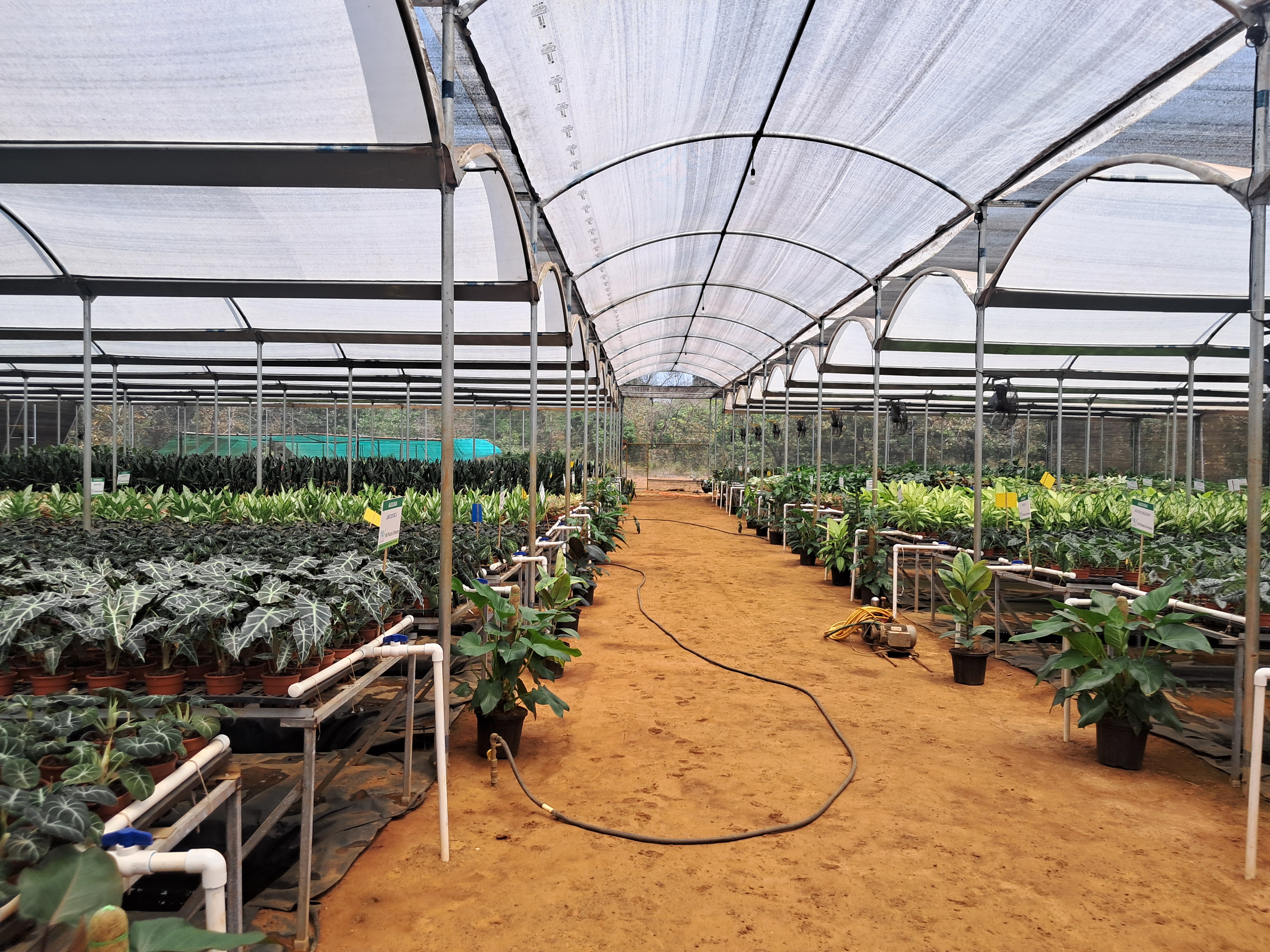 Day Out at NV Eco Farms
