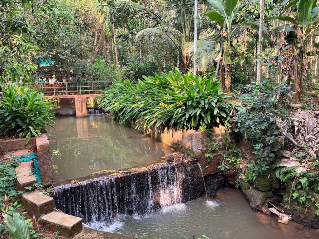 Savoi Plantation Entry