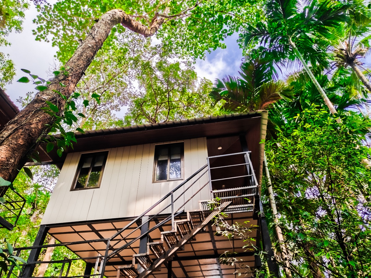 Night Stay at Tanshikar