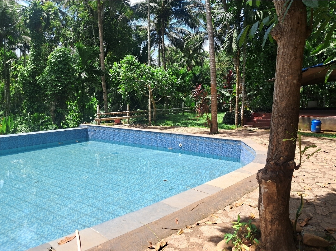 Swimming Pool (Private)