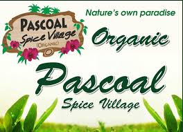 Pascoal Spice Village
